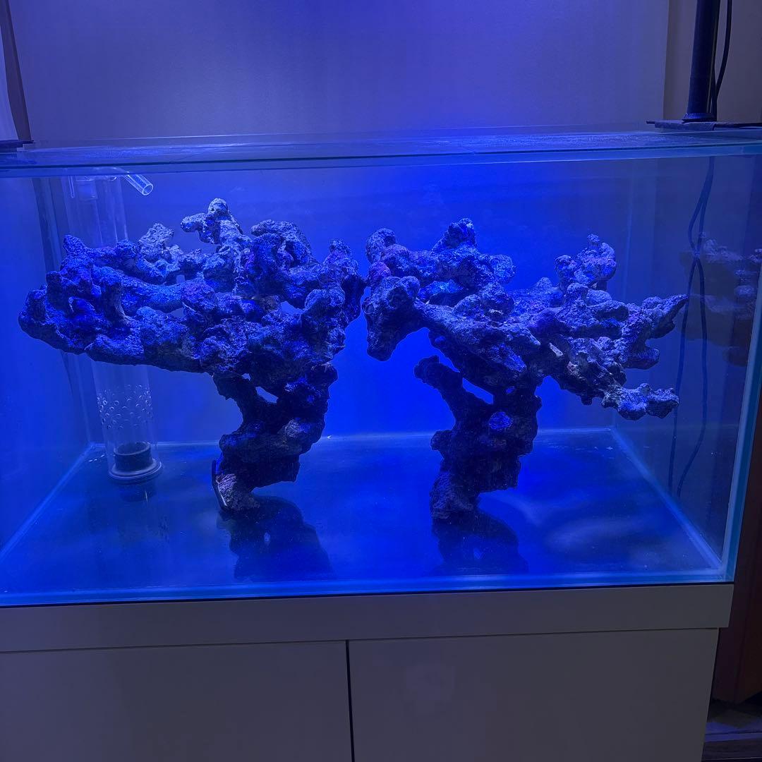 引き取り限定 90cm オーバーフロー水槽