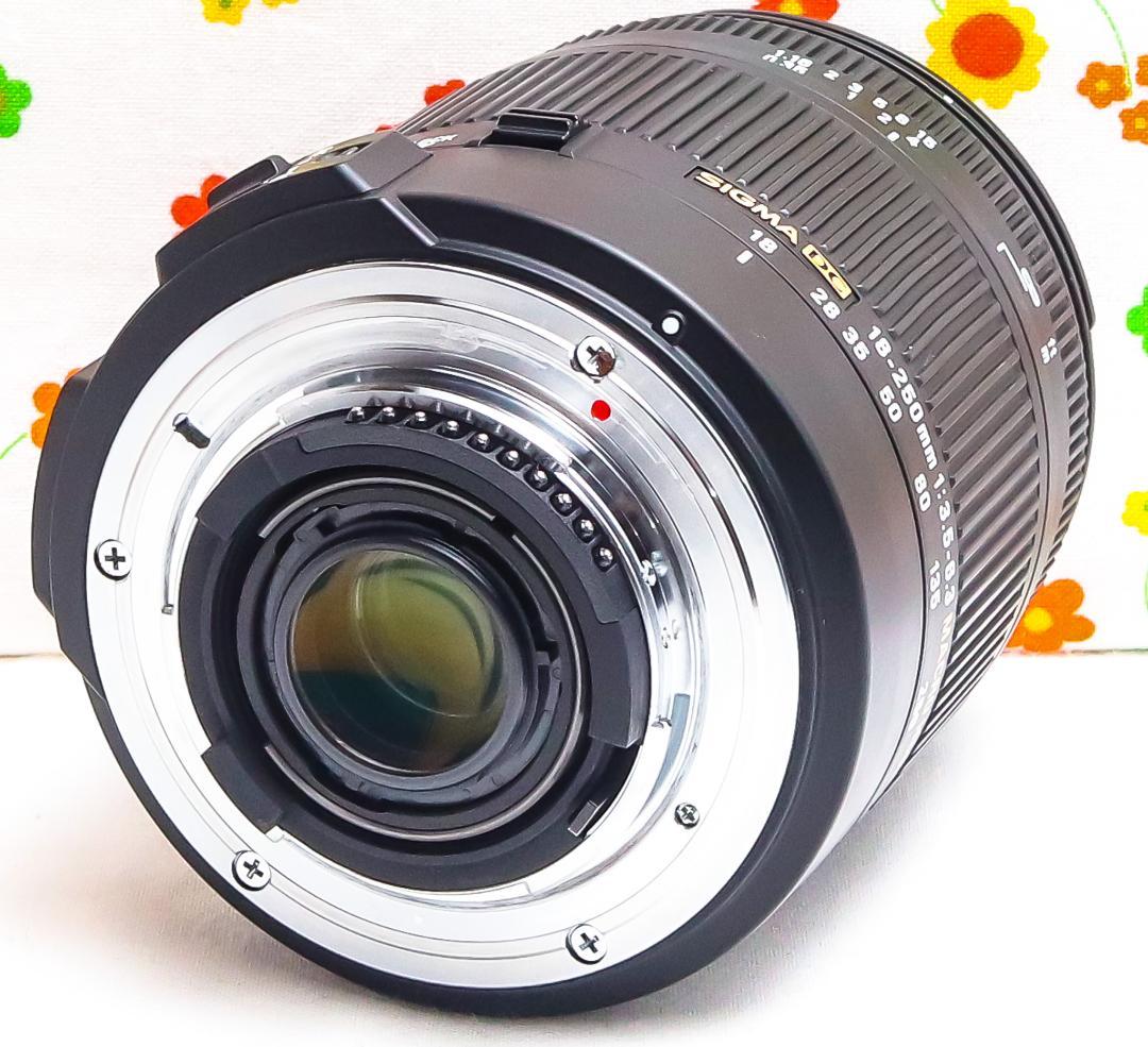 美品 シグマ 18-250mm DC OS HSM ☆ニコン用☆高倍率レンズ