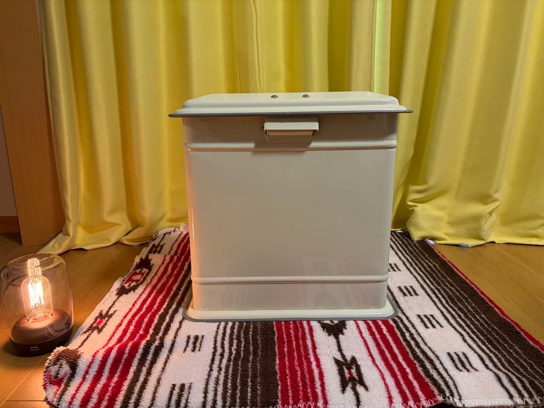 【訳あり】ダルトン DULTON STEP CAN DUAL BUCKET