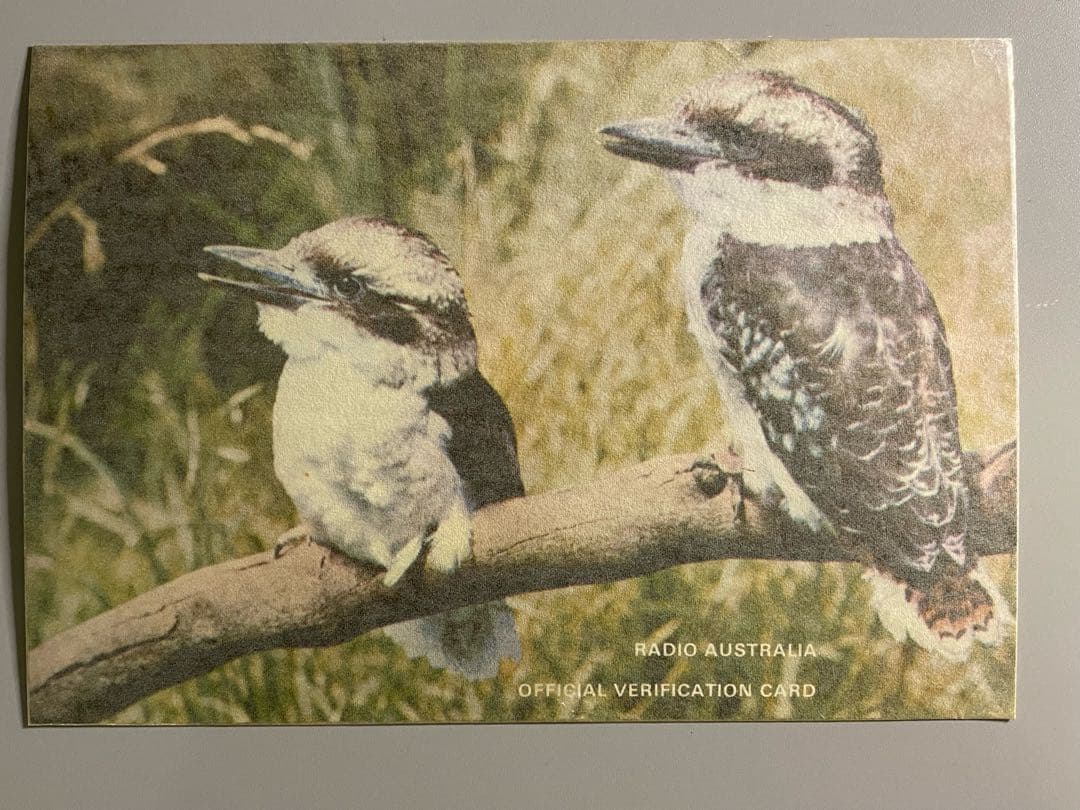 ベリカード　コレクション