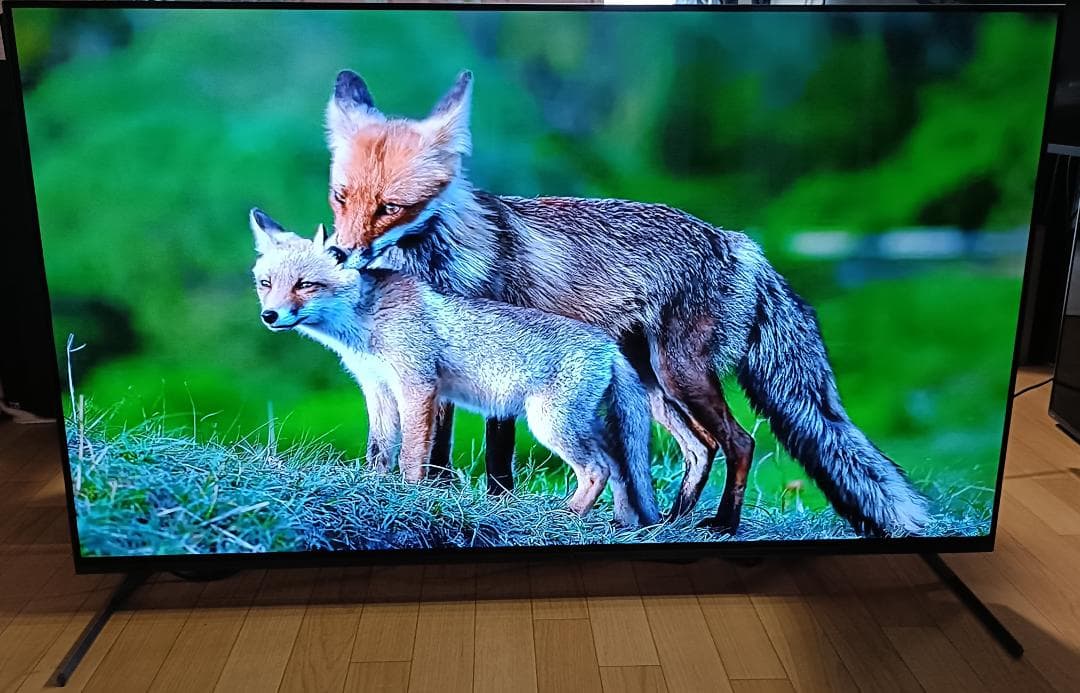 値下げ‼️美品23年製55V型SONYBRAVIA XRJ-55A80L有機EL