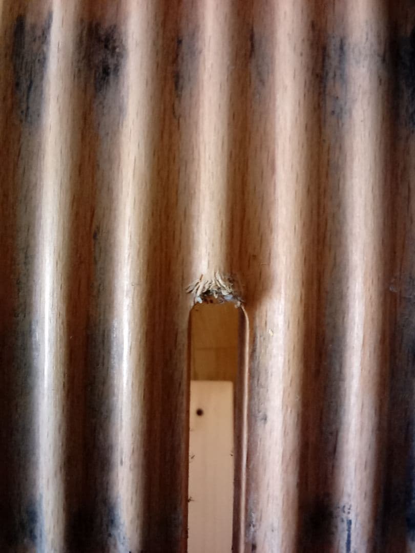 リボ社 バランスチェアイージー 替えカバー付き