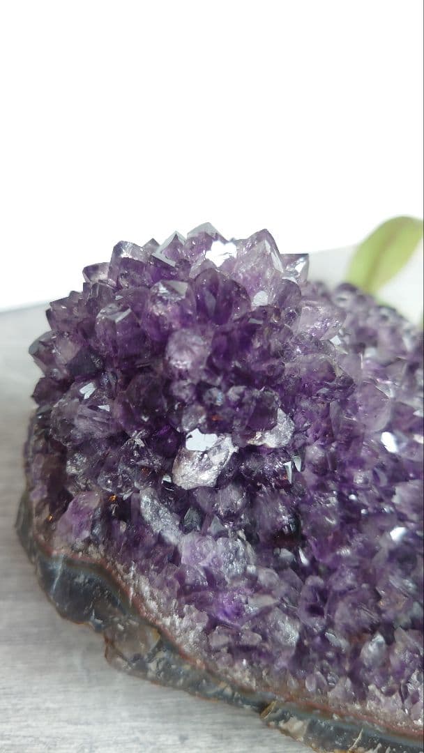 珍しい！コブ付きウルグアイ産アメジストクラスター