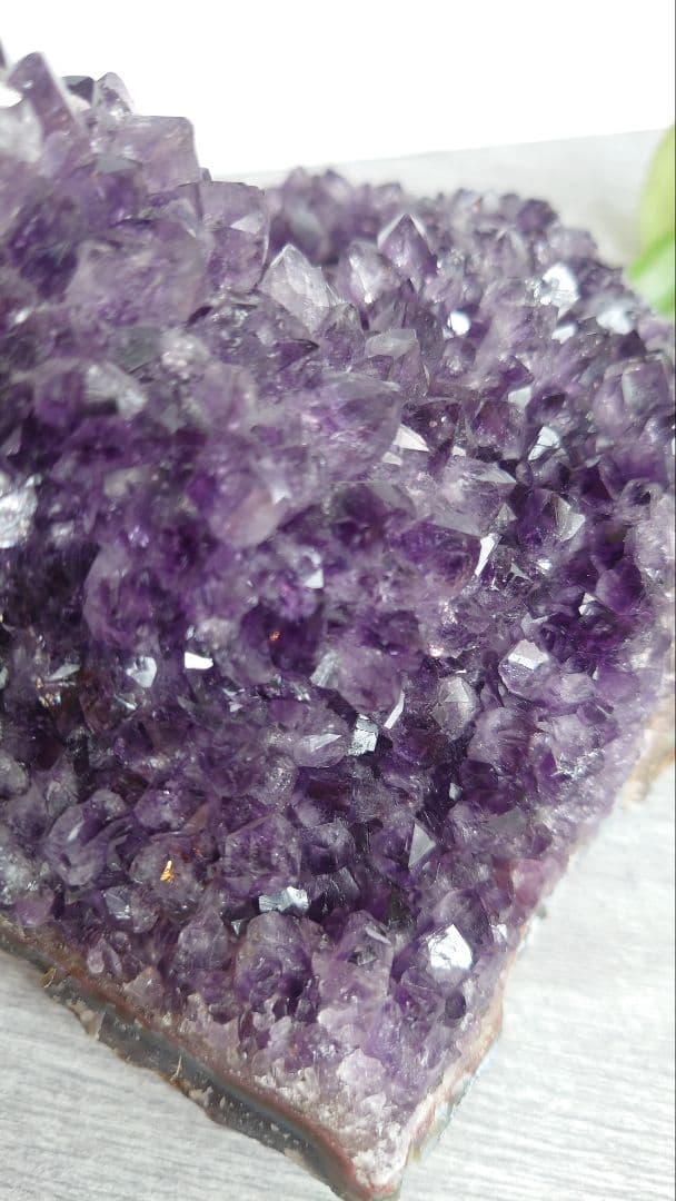 珍しい！コブ付きウルグアイ産アメジストクラスター