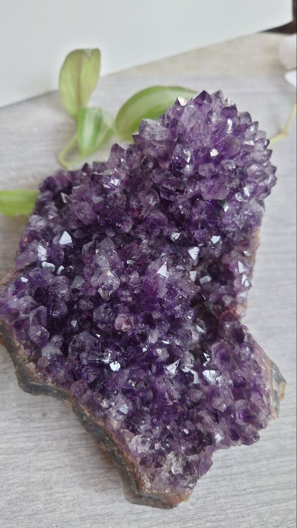 珍しい！コブ付きウルグアイ産アメジストクラスター