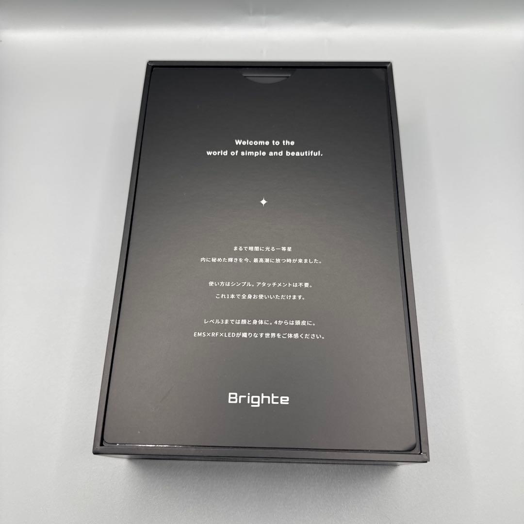 M1391 Brighte ブライト ELEKIBRUSH エレキブラシ