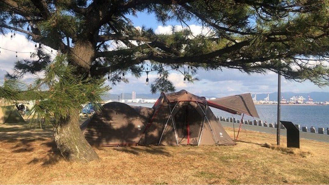 リビングシェルS Pro. シールドルーフ付き　雪峰祭限定品