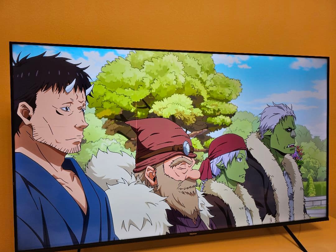 へ*と様 ハイセンス 65E7H 2024年製　細い縦線と横線あり　手渡しOK