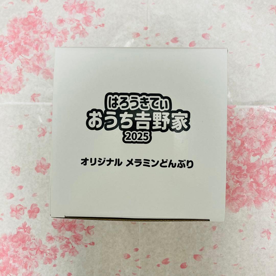 吉野家　はろうきてぃ おうちで吉野家2025 オリジナルメラミンどんぶり 2点