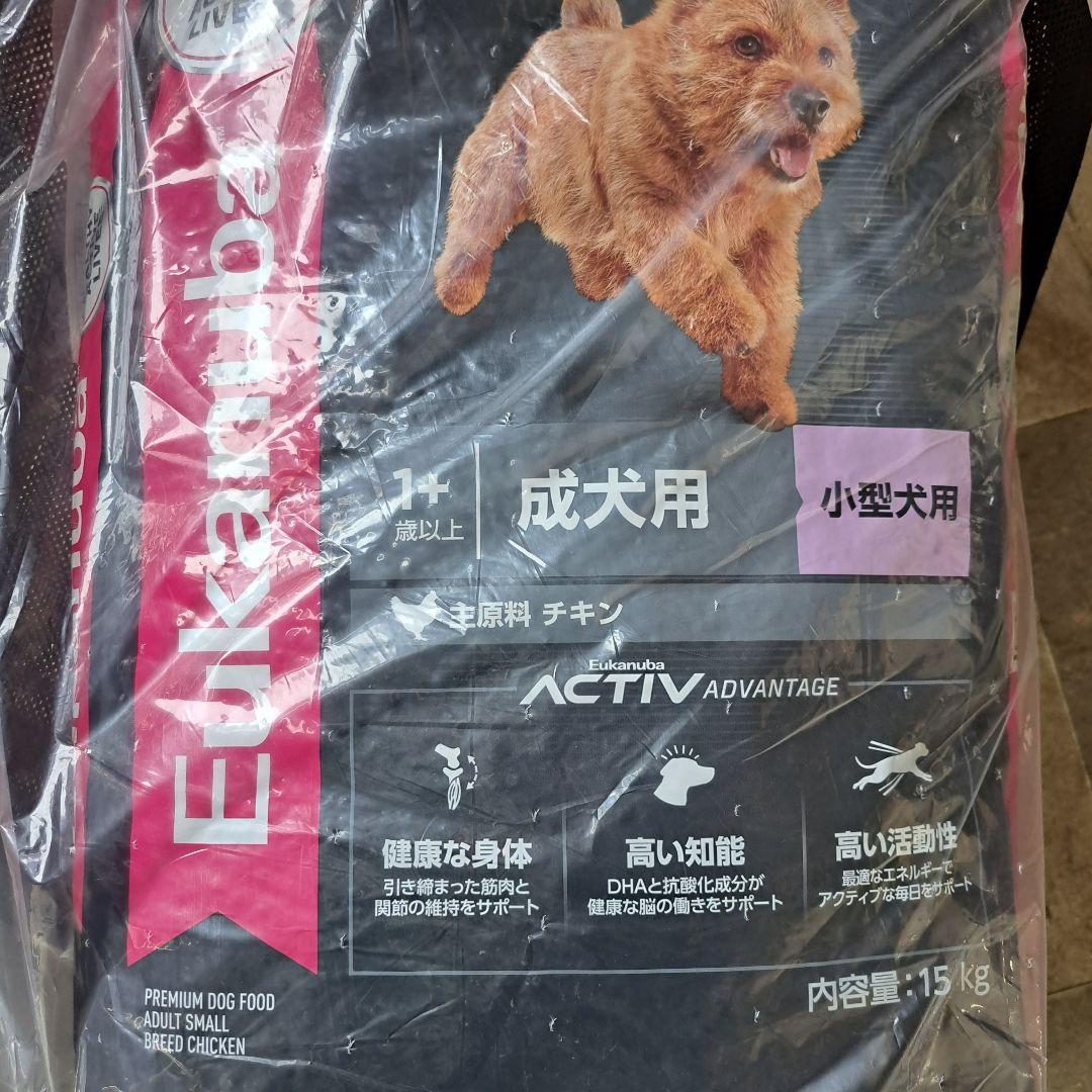 くーたくん