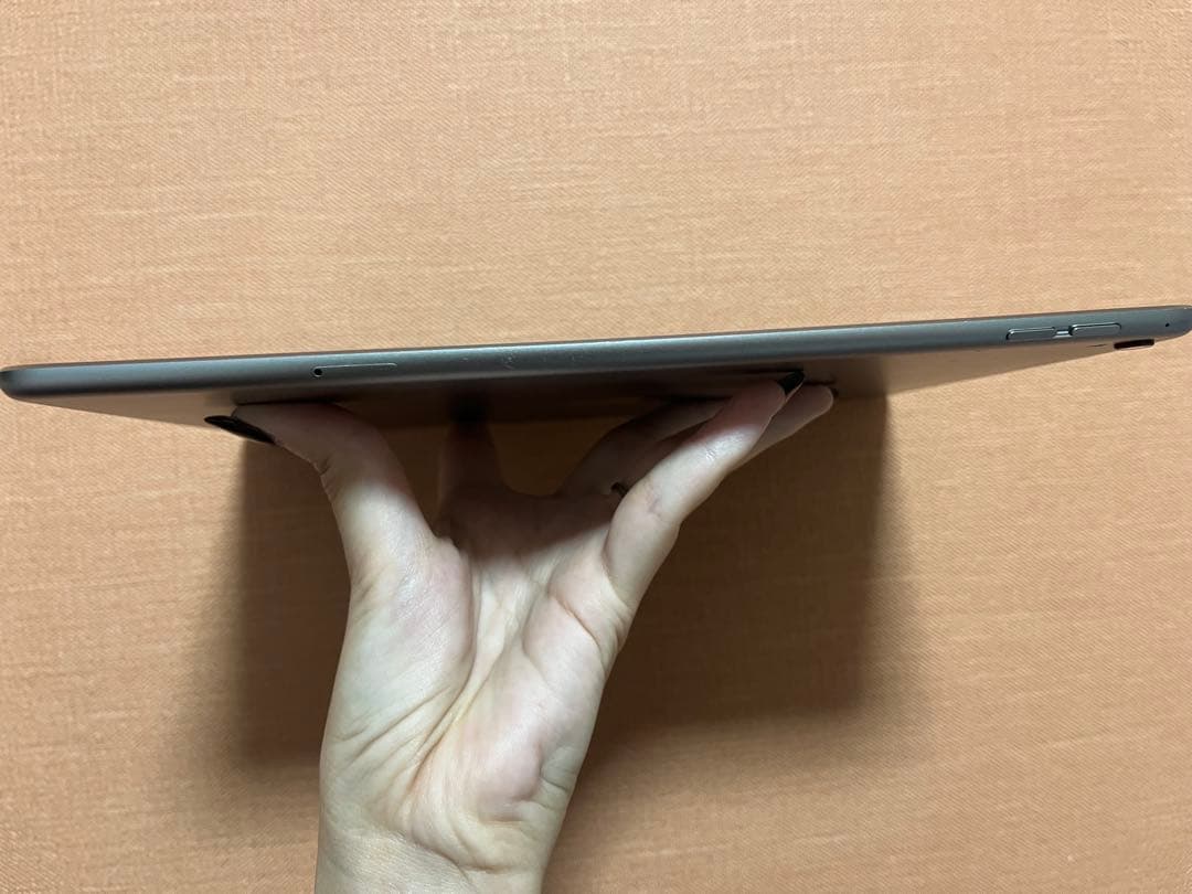 iPad Pro 9.7inch 256GB 値下げ⭕️