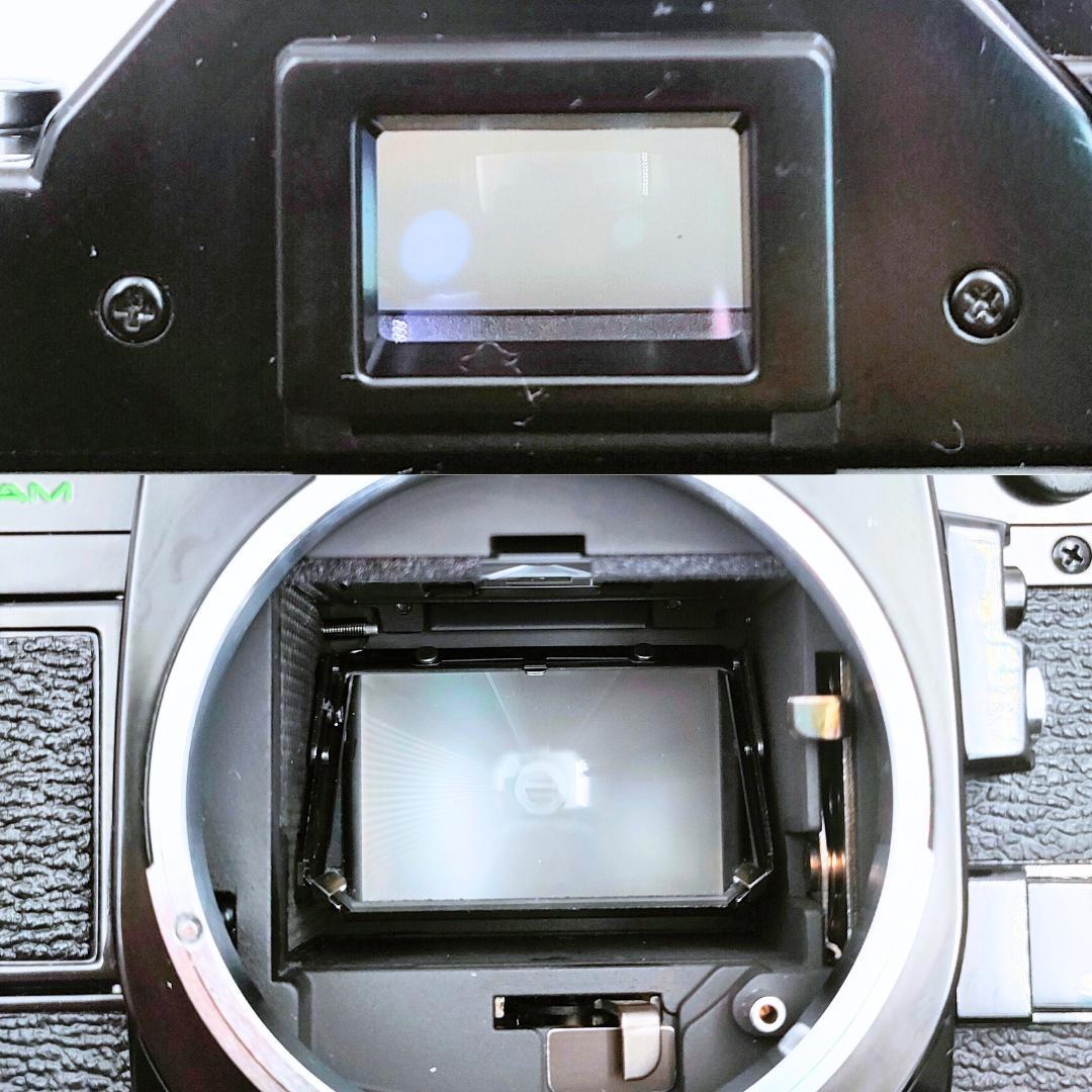 綺麗 Canon AE-1 PROGRAM / NFD 50mm F1.8