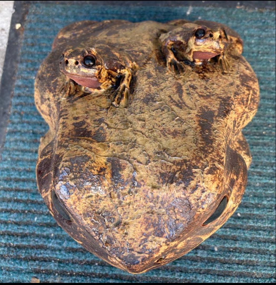 カエル 蛙 陶器 希少 レア 置物