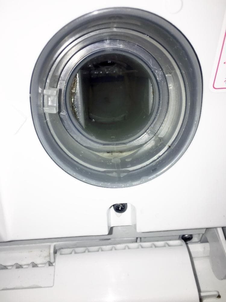 30日迄！パナソニック 10kg ドラム式洗濯機【NA-VS1000L】