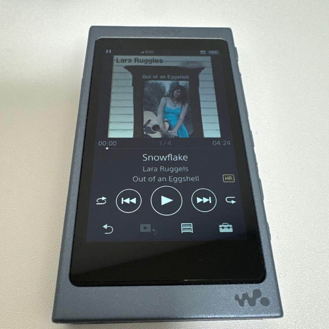 ソニー ウォークマン Aシリーズ NW-A45 2017年モデル ブルー