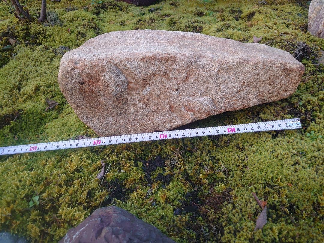 本鞍馬石 京都 鞍馬石 10kg 坪庭 鑑賞石 加茂七石 自然石 枯山水 庭石