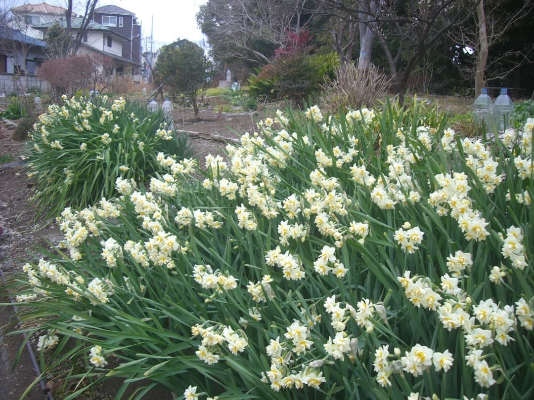 実写美⭕️【動作確認済】カシオ CASIO EXILIM EX-S600