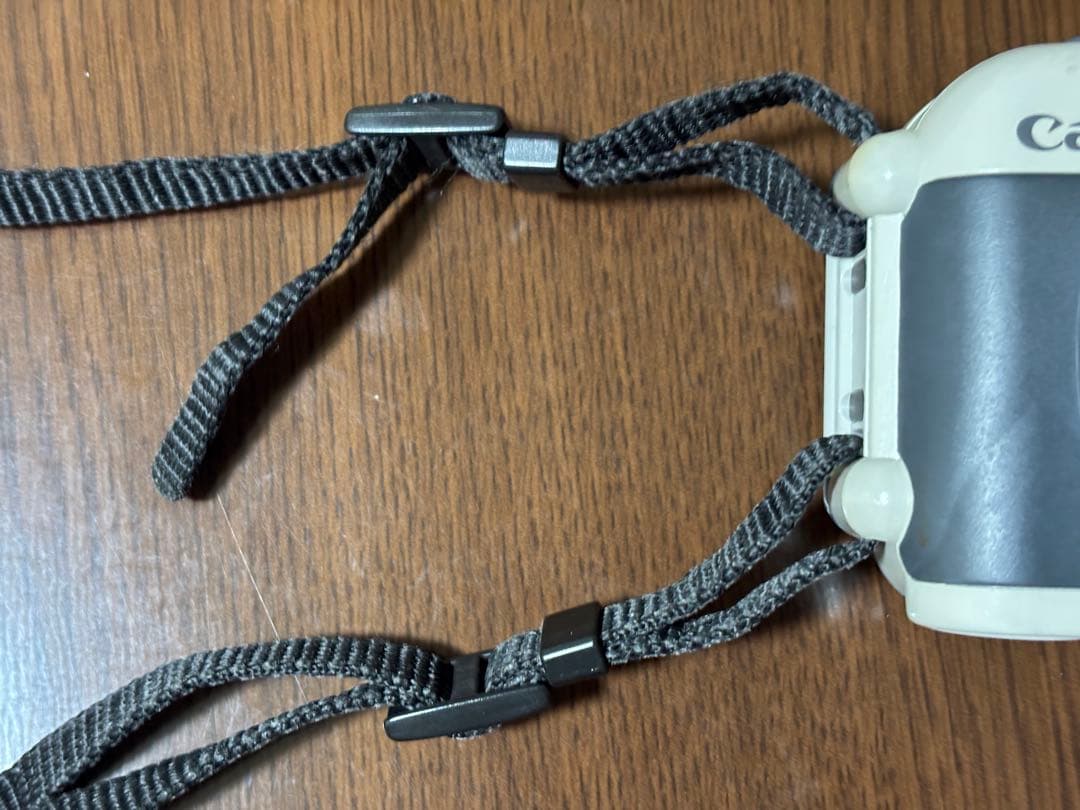 Canon Autoboy D5 動作確認済み コンパクトフィルムカメラ