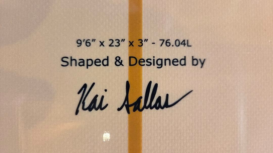 Shove THUNDERBOLT サンダーボルト9.6 TUNAMI