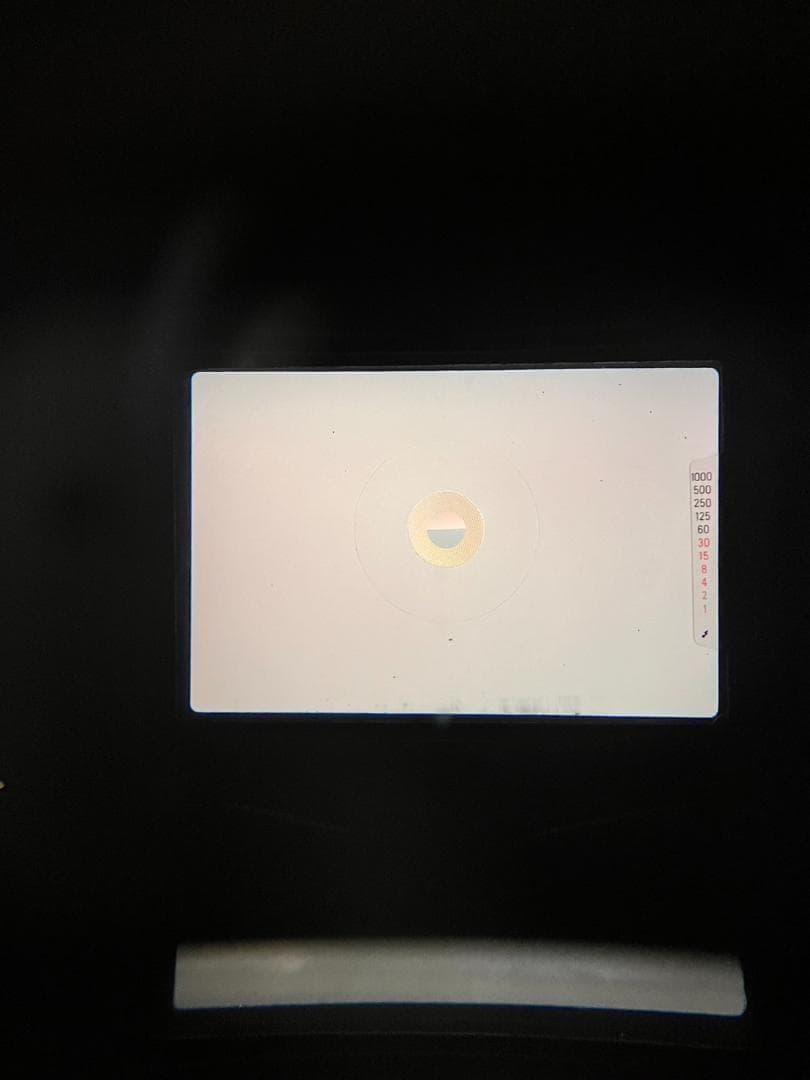 美品 NIKON FG シルバー　フィルムカメラ　モルト新品交換済 B822