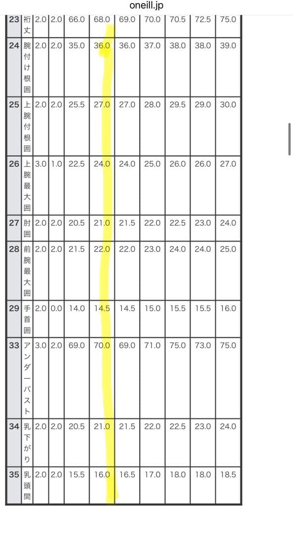 O'NEILL セミドライ バックジップ 5×3 mm MSサイズ