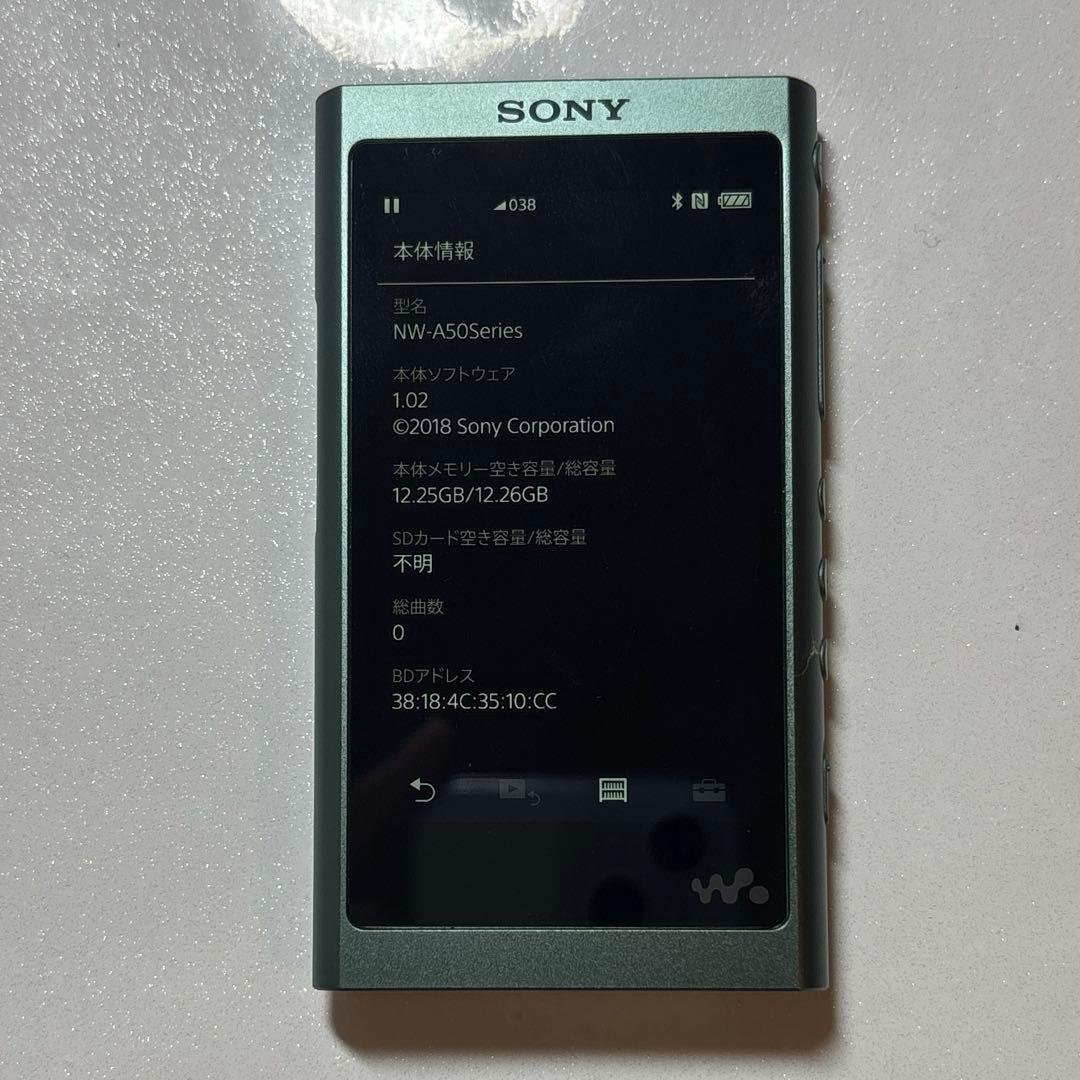 【ケース付き】SONY ウォークマン NW-A50Series 【充電器なし】