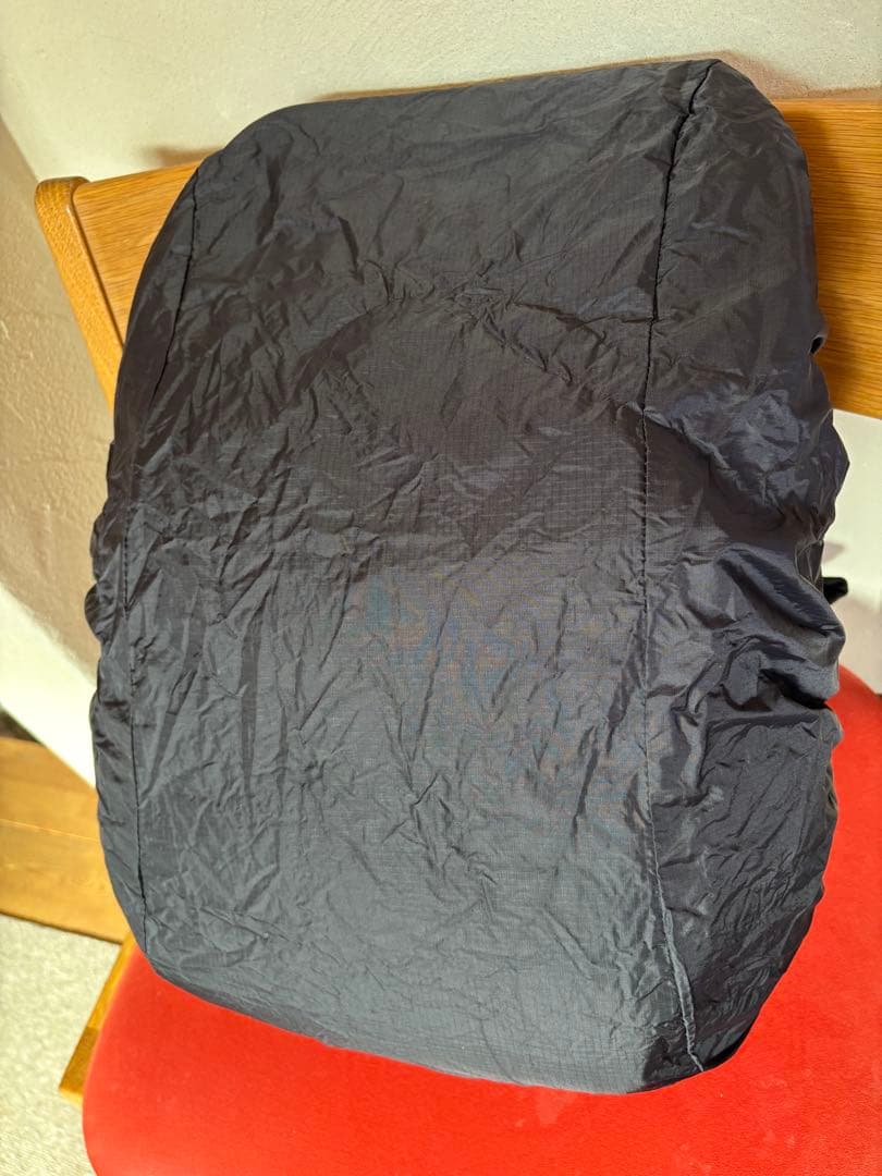 豊島岡女子学園 学校指定 リュック