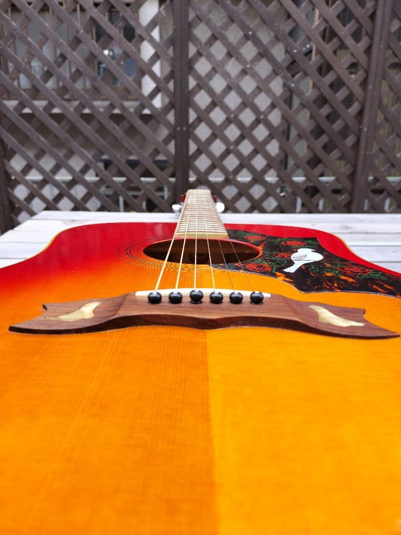 ☆美品☆Gibson　Doveモデル　Aria Custom 製造番号0067！