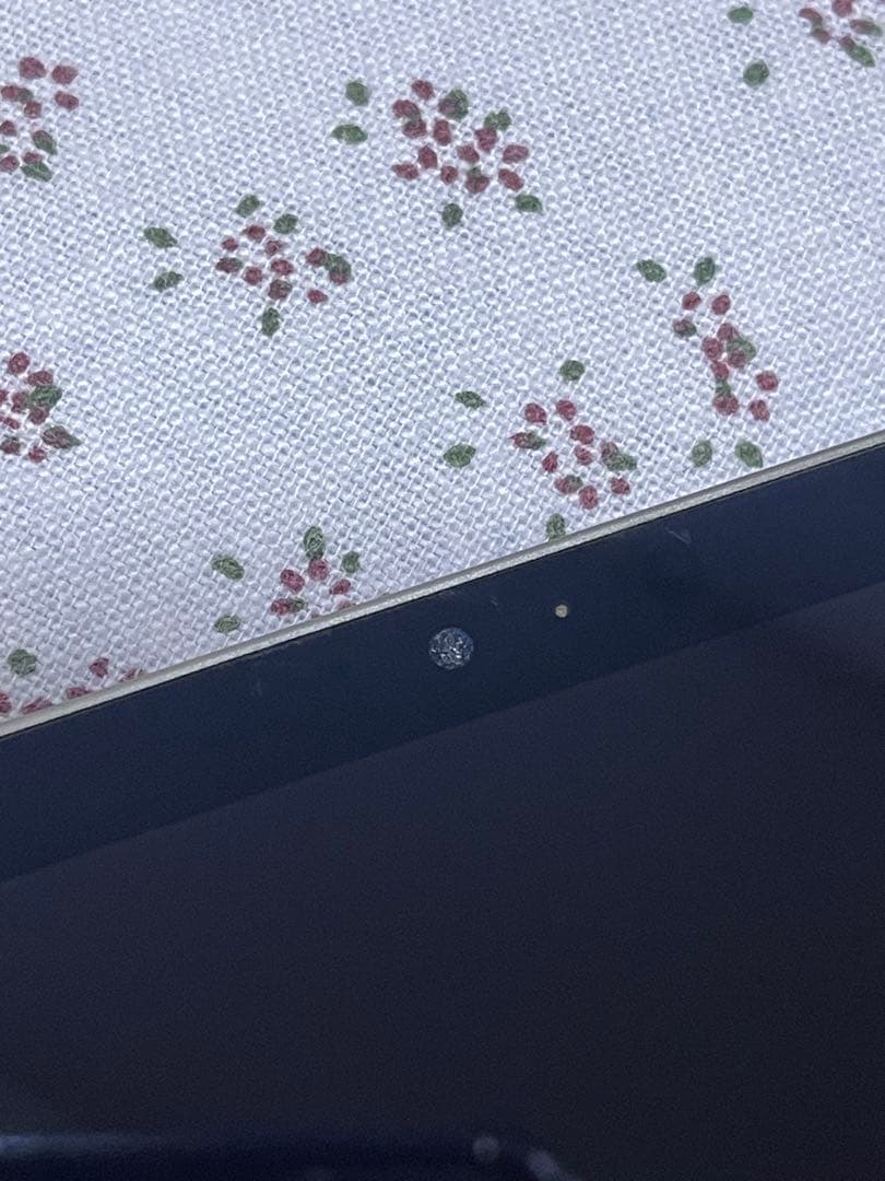 iPad Pro 12.9 (第3世代) 256GB WiFi + セルラー