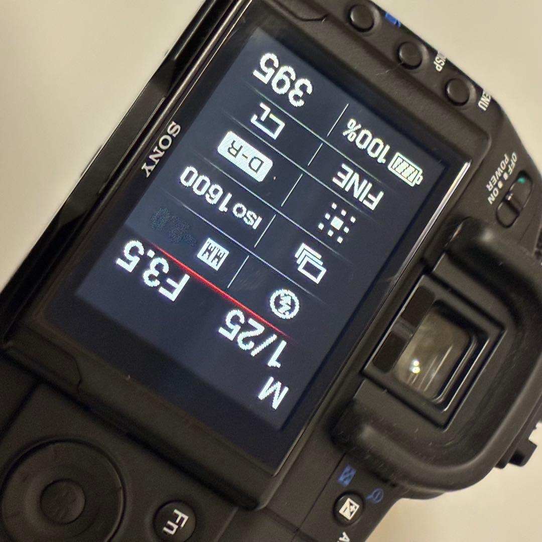 【一眼レフデビューにおすすめ！！】SONY α350 初心者セット【作例付き】