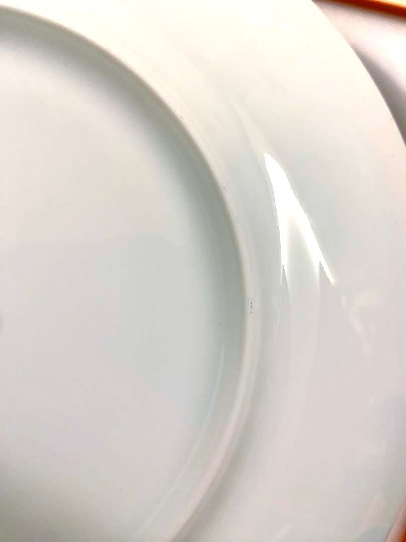 希少 新品未使用 エルメス 赤道直下のスケッチ プレート デッサン ロベールダレ