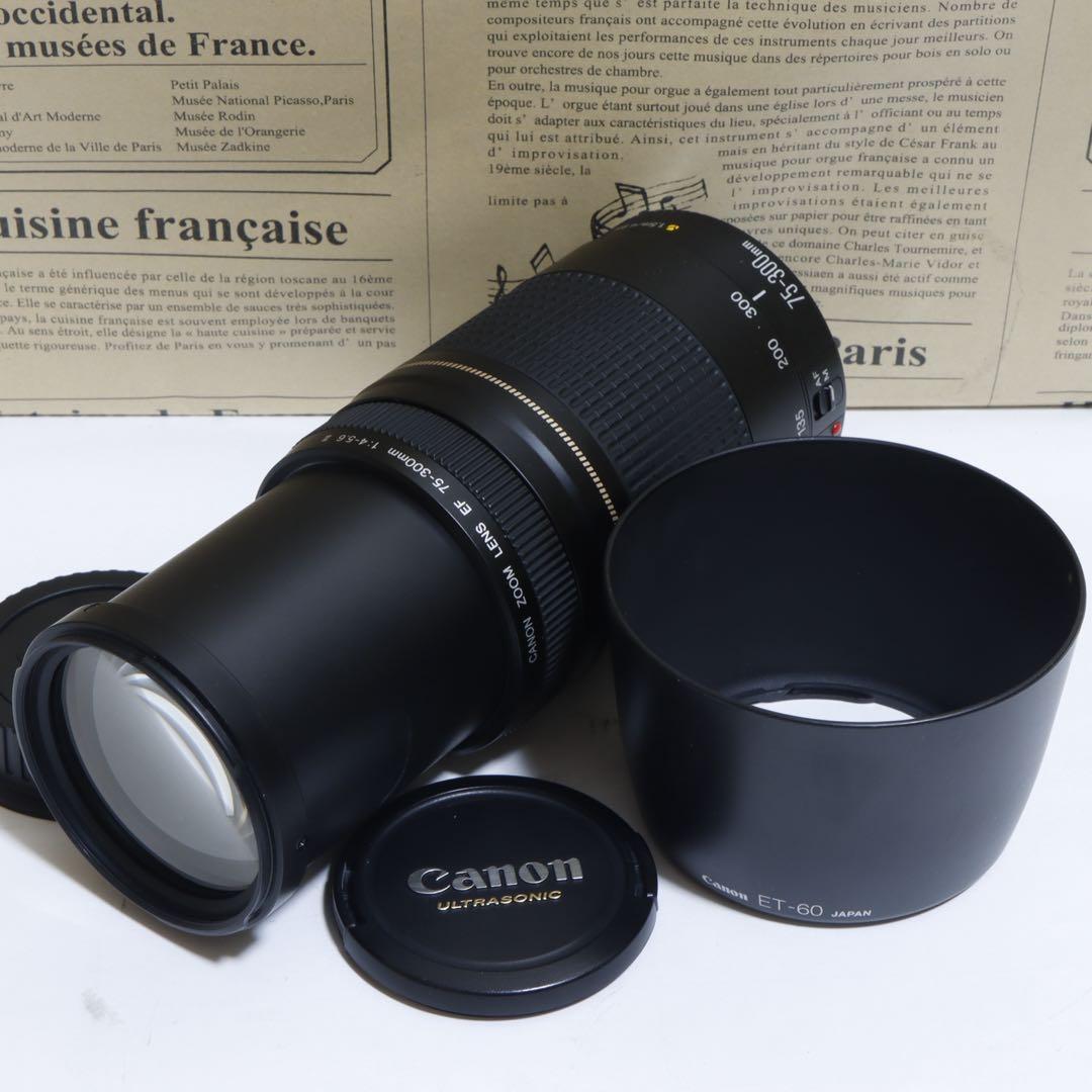 ◇超望遠&高速AF◇Canon純正 75-300mm II型 超望遠レンズ!!◇