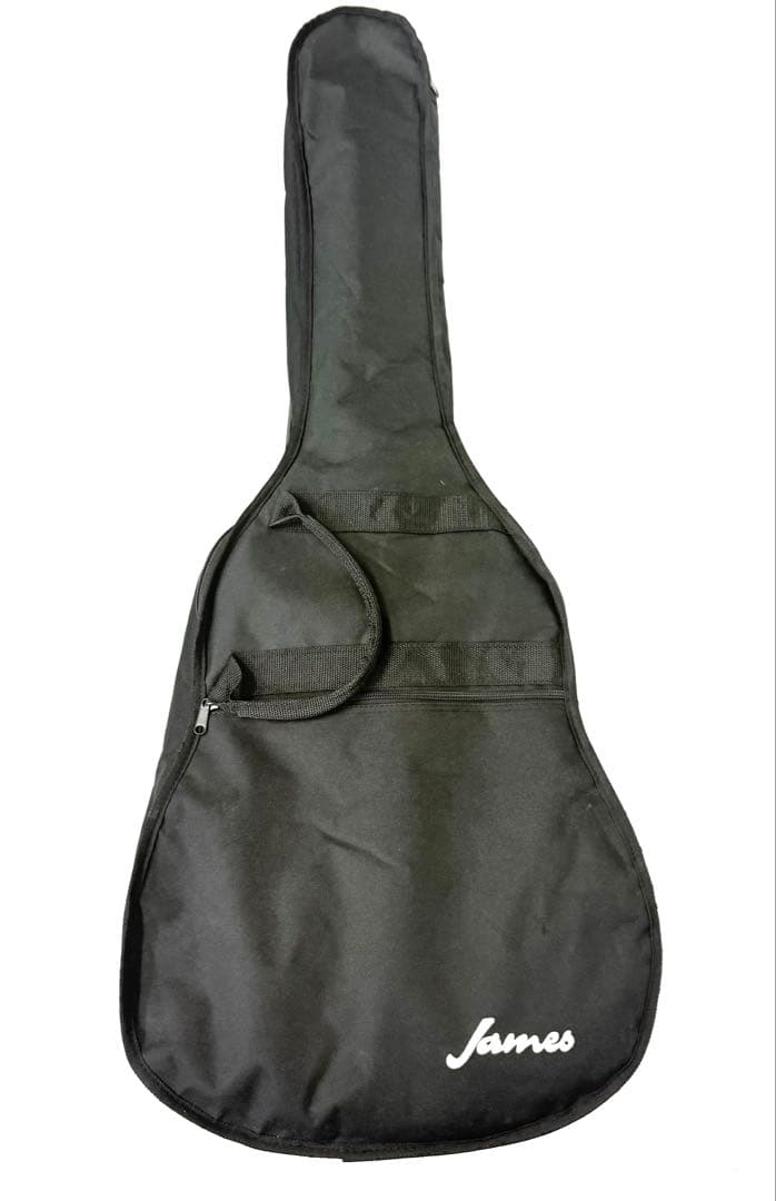 【極美品】James J-600DCNAT アコースティックギター ジェームス