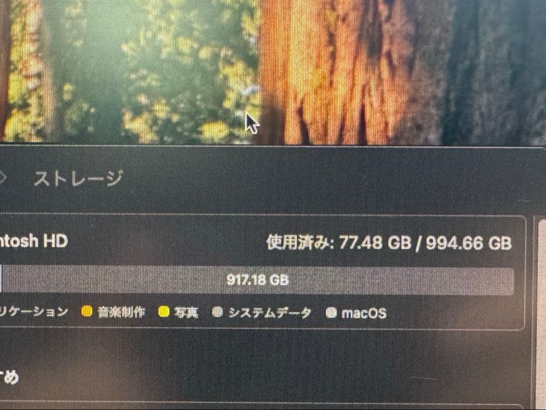 Mac mini 2024 M4pro メモリ64GB SSD 1TB