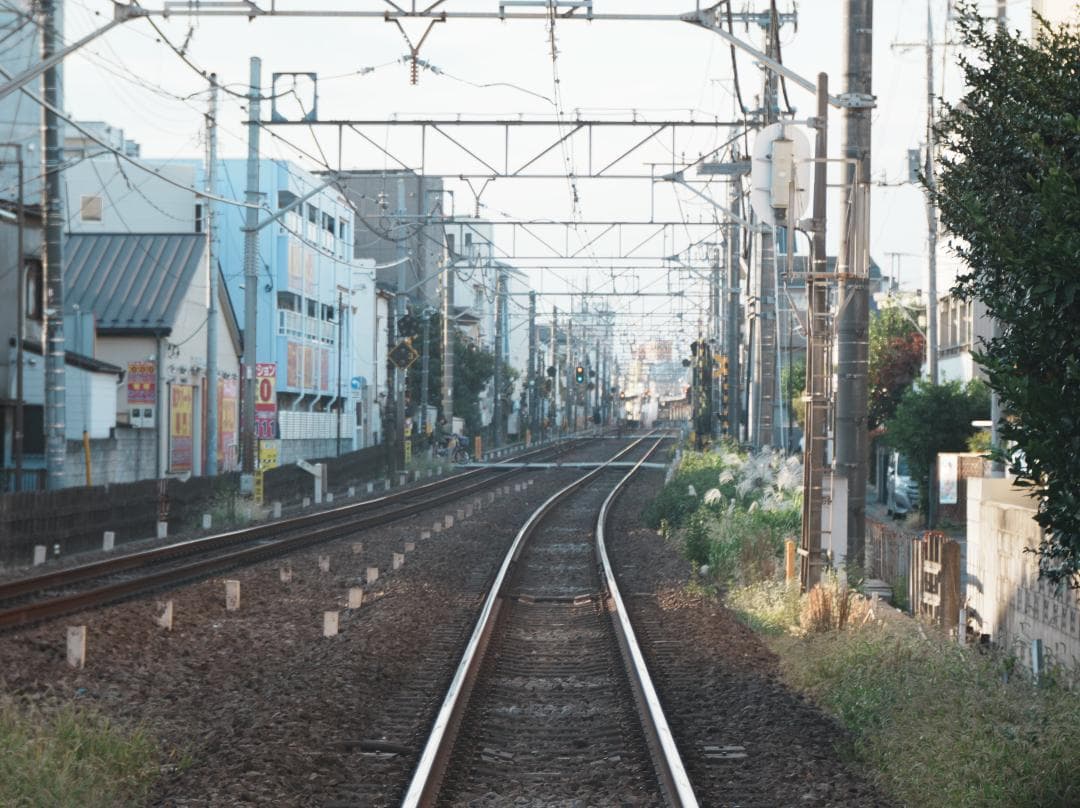 テスト画像有　古典玉 Monopol 15cm f8 Leica-Lマウント改