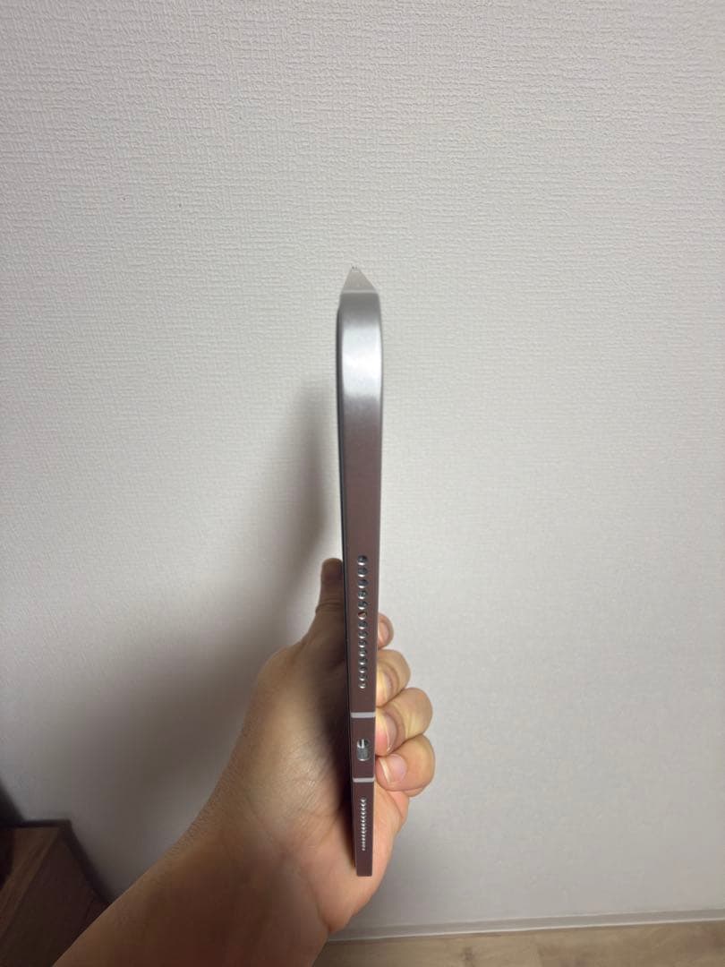 Apple iPad Pro 11インチ (M4) 256GB 美品