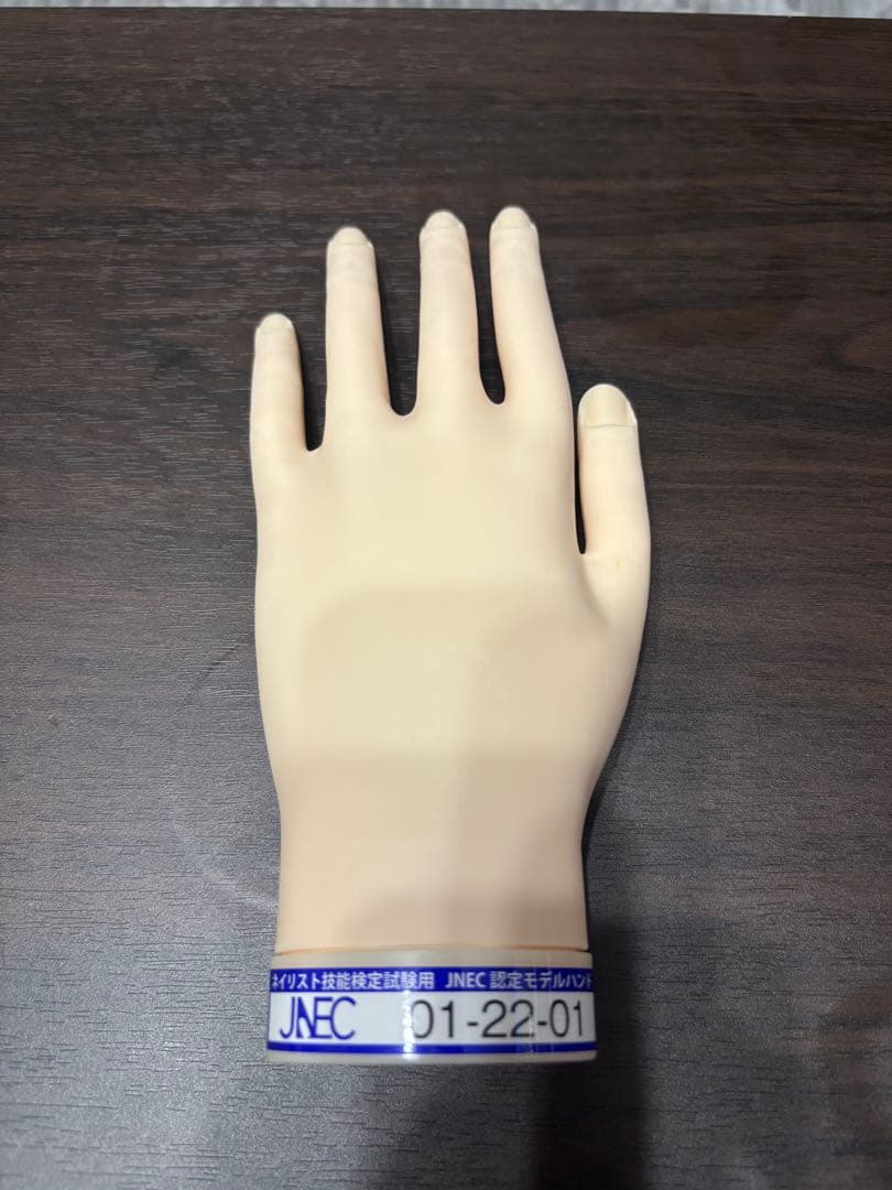 STモデルハンド右手&左手 ネイリスト技能検定試験用 JNEC認定モデルハンド