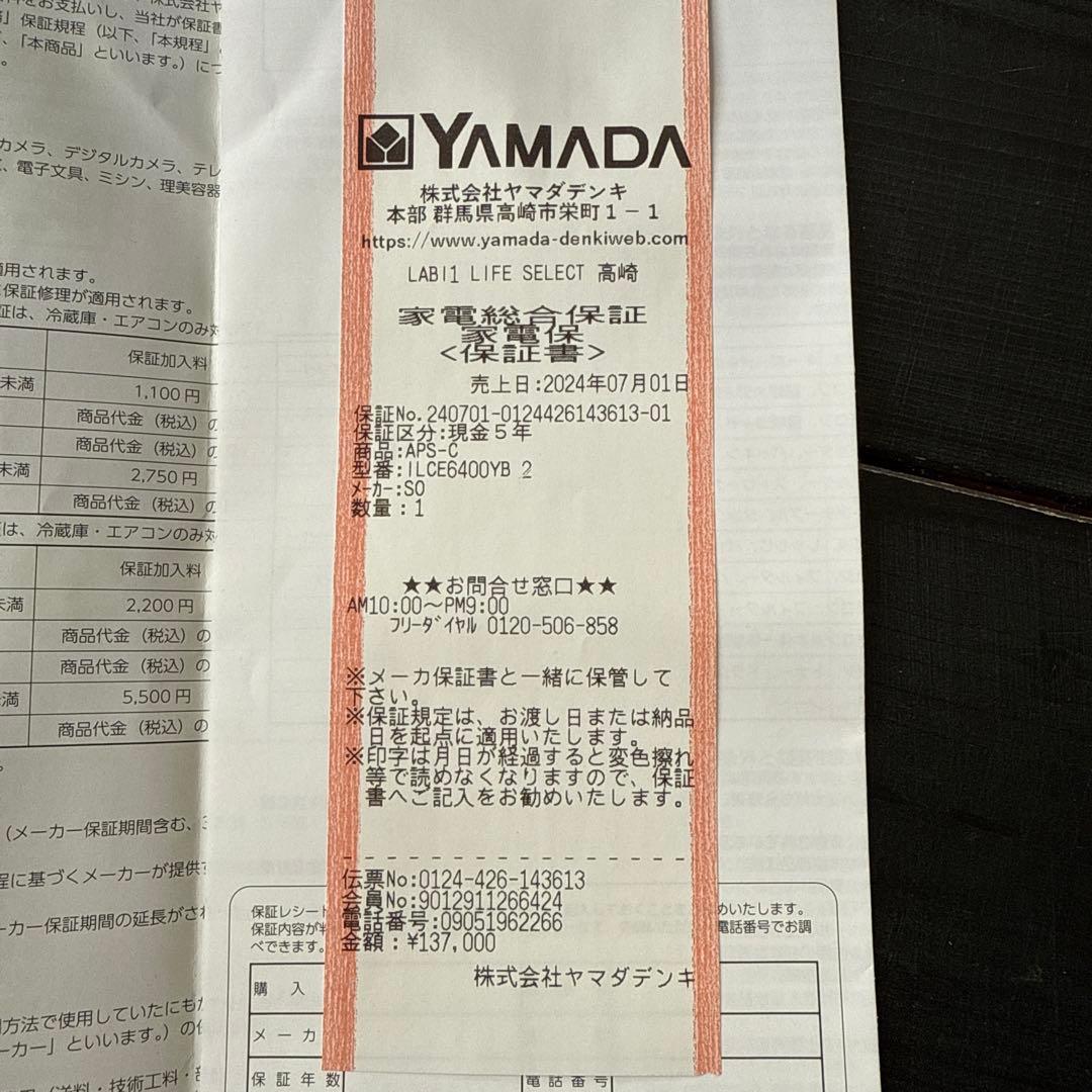 Sony α6400 ミラーレスカメラ レンズ2本セット