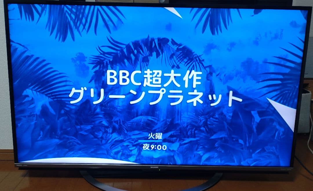 最終値下げ！送料無料！SHARP 液晶テレビ　50インチ　2017年製