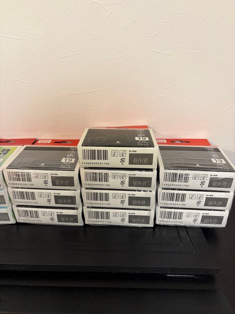 [期限切れ] 純正Canon 19 インクカートリッジ