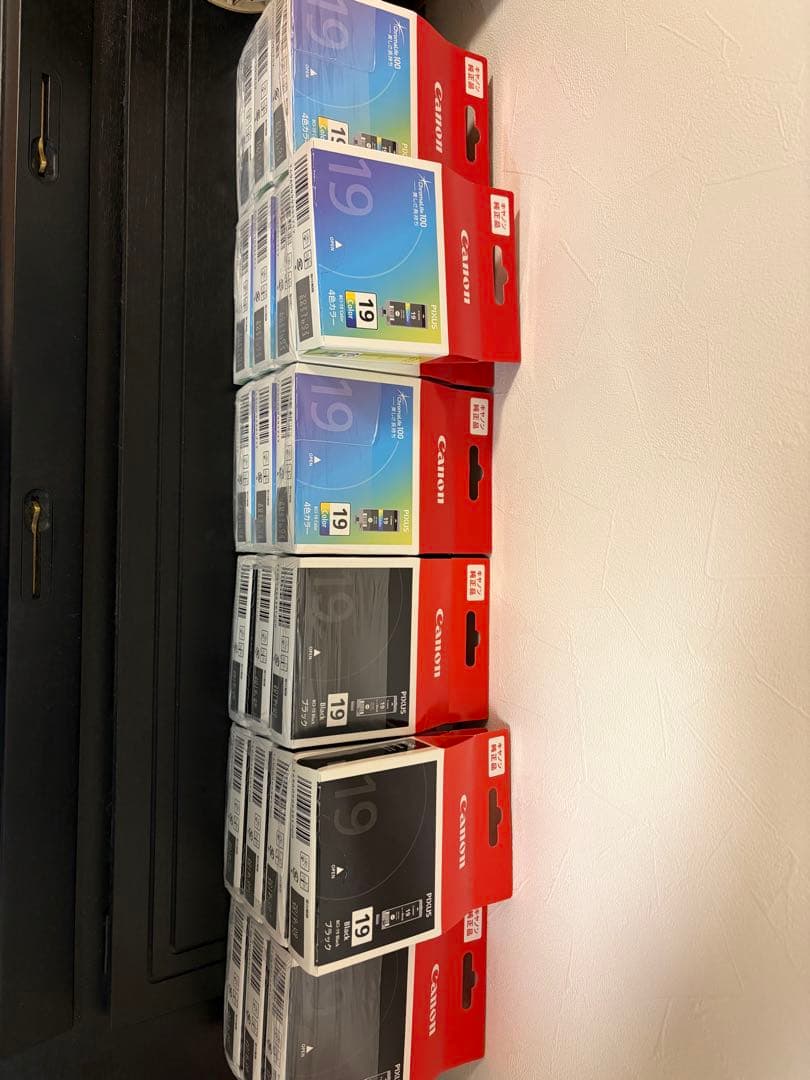 [期限切れ] 純正Canon 19 インクカートリッジ