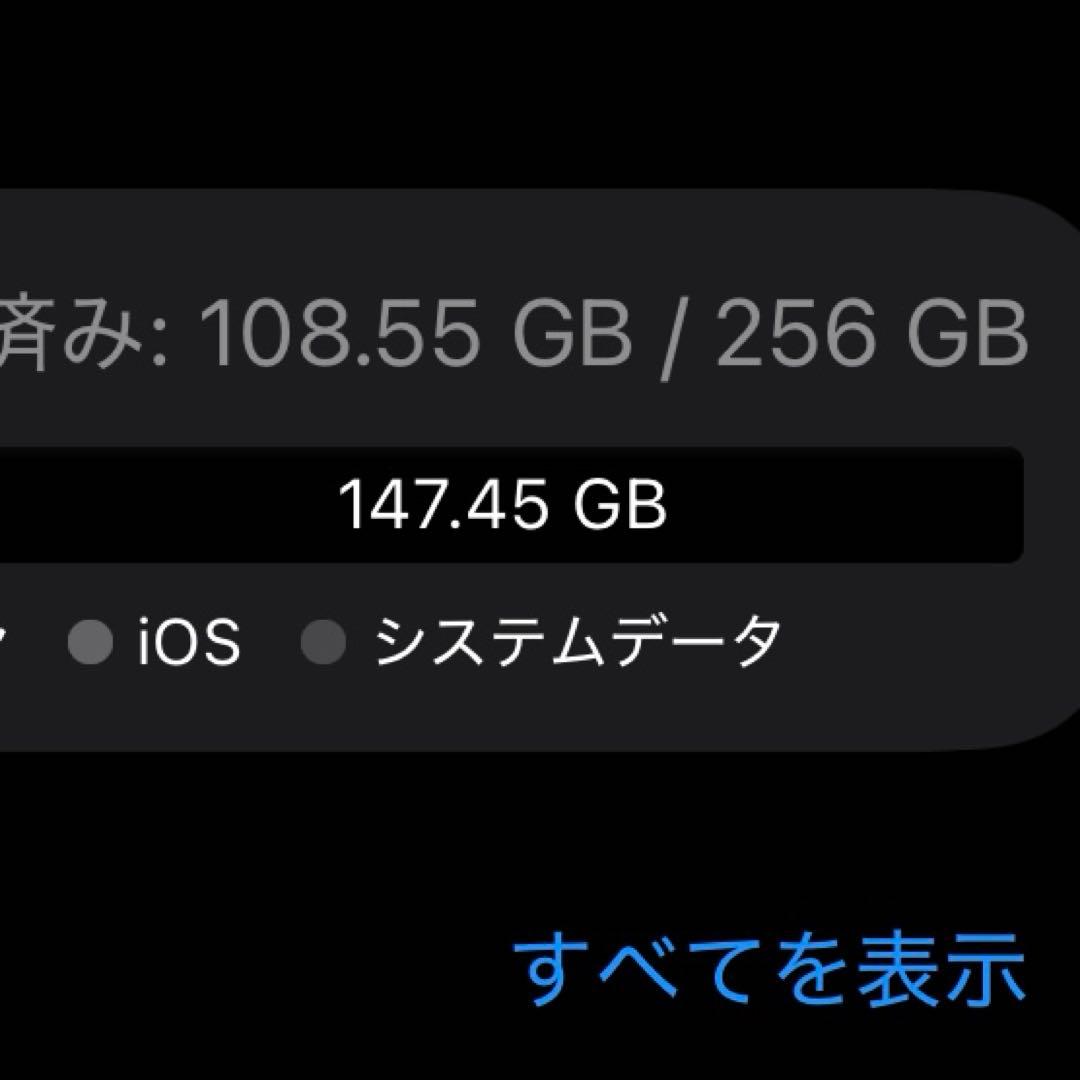 iPhone12mini 256GB フィルム・ケース装着済み