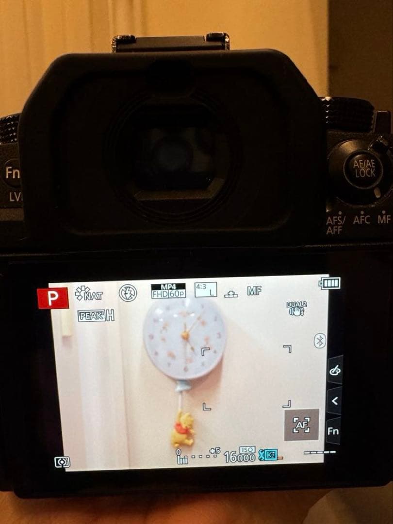 即購入OK【美品】 LUMIX G99H 14-140レンズセット