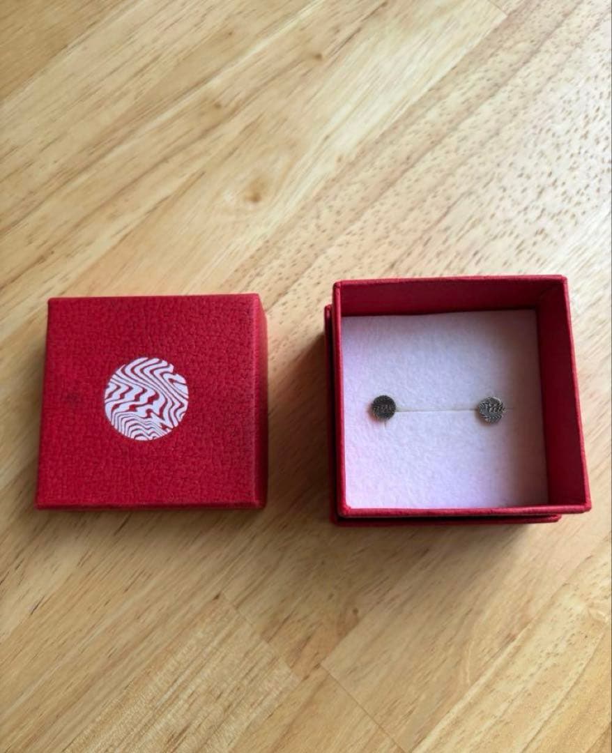 DWS 紋ピアス