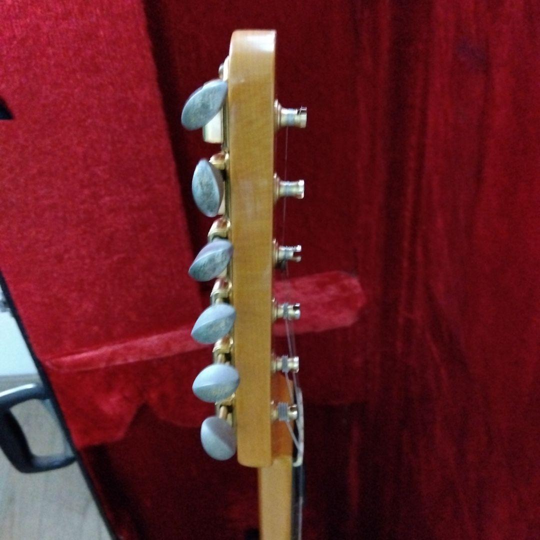 ムーン moon PGM テレキャスター　EMGハムバッキング　ワンオーナー