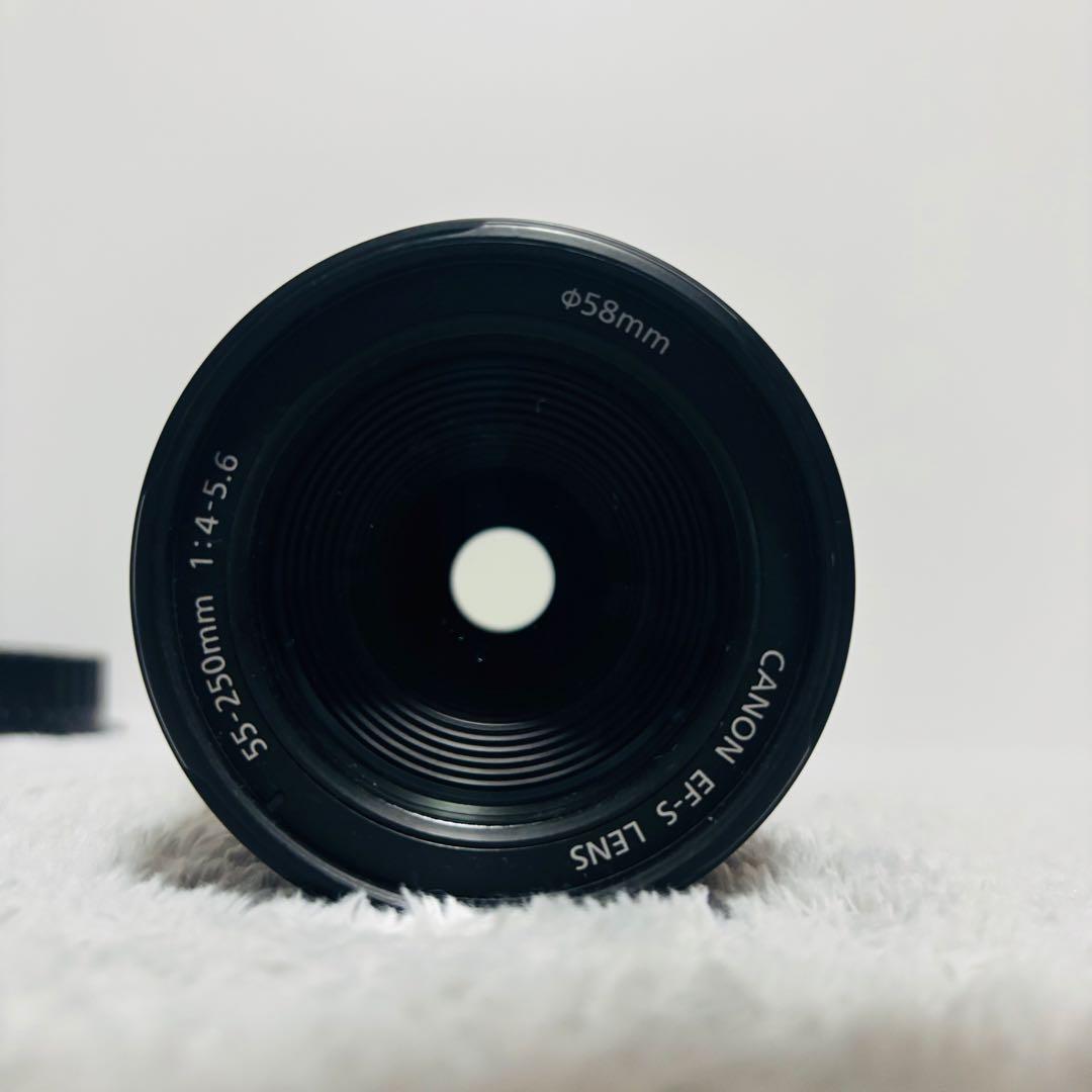 Canon EF-S 55-250mm IS STM 望遠レンズ