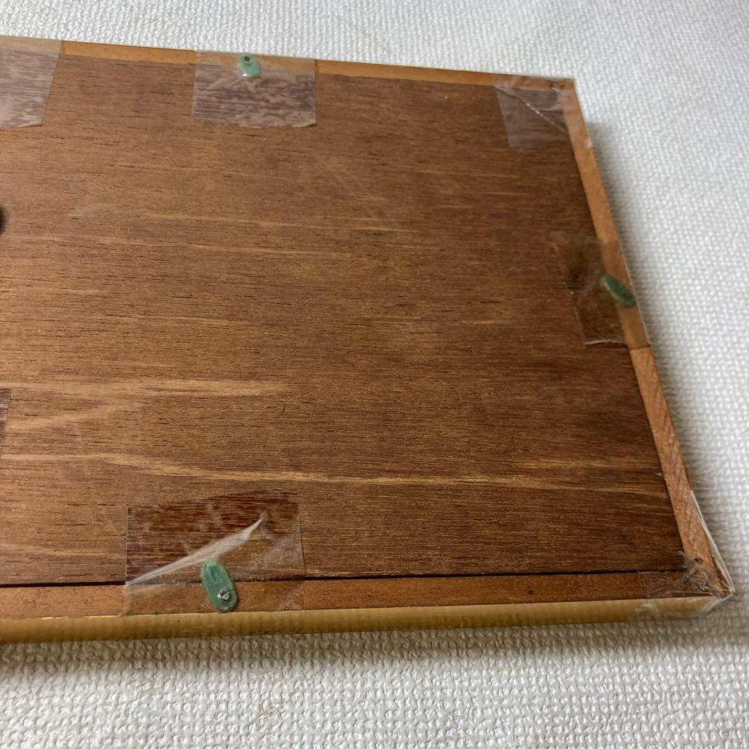 蝶の標本コレクション