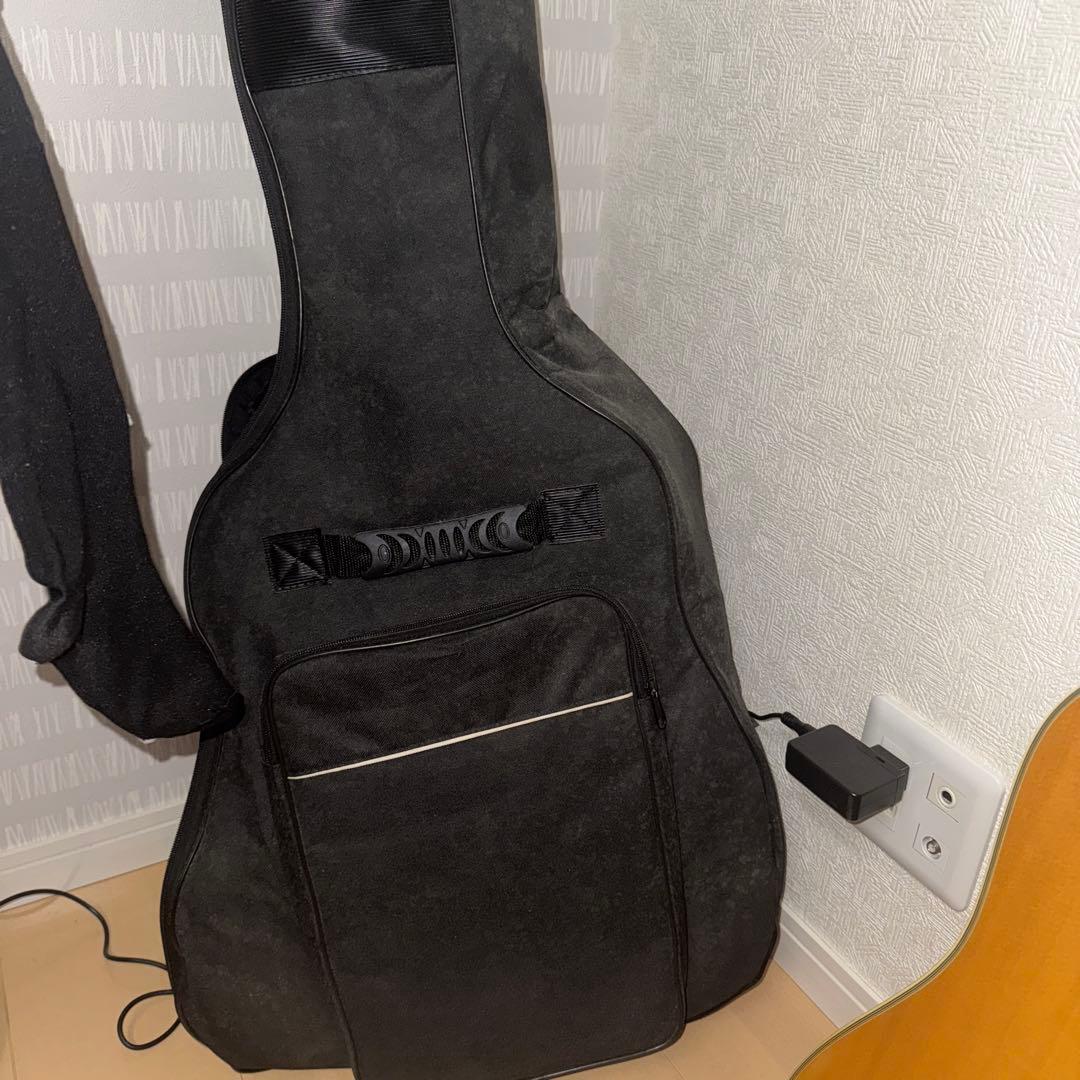 Morris アコースティックギターM-11NAT