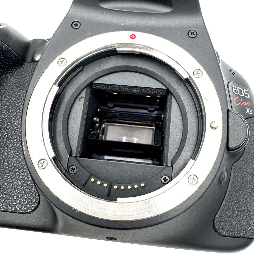 美品 CANON キャノン EOS Kiss X5 超望遠ダブルズームキット