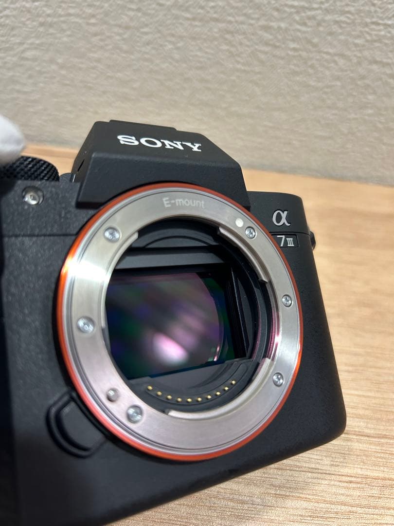 Sony a7iii 標準ズームキット+ FE 85mmF1.8